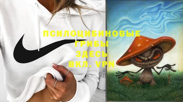 PSILOCYBIN Алексин